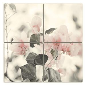 Slika na platnu - Papirnato cvijeće bugenvilije - kvadrat 357FD (60x60 cm)