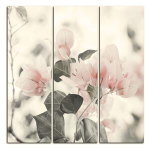 Slika na platnu - Papirnato cvijeće bugenvilije - kvadrat 357FB (75x75 cm)