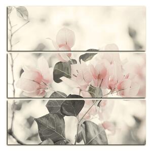 Slika na platnu - Papirnato cvijeće bugenvilije - kvadrat 357FC (75x75 cm)