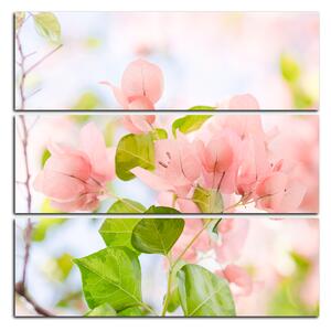 Slika na platnu - Papirnato cvijeće bugenvilije - kvadrat 357C (75x75 cm)