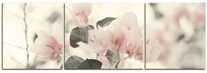 Slika na platnu - Papirnato cvijeće bugenvilije - panorama 557FC (90x30 cm)