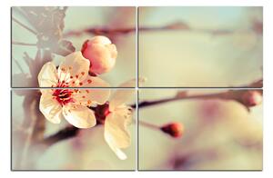 Slika na platnu - Trešnjin cvijet 158D (150x100 cm)