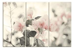 Slika na platnu - Papirnato cvijeće bugenvilije 157FB (90x60 cm )