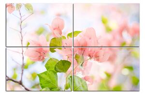 Slika na platnu - Papirnato cvijeće bugenvilije 157E (150x100 cm)