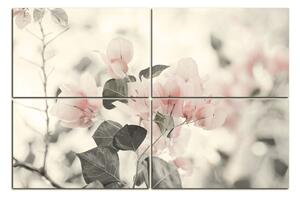 Slika na platnu - Papirnato cvijeće bugenvilije 157FE (150x100 cm)