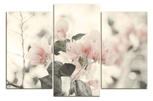 Slika na platnu - Papirnato cvijeće bugenvilije 157FC (120x80 cm)