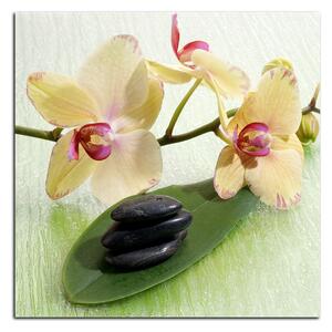 Slika na platnu - Cvjetovi orhideja - kvadrat 362A (50x50 cm)