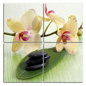 Slika na platnu - Cvjetovi orhideja - kvadrat 362D (60x60 cm)