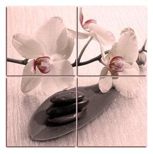 Slika na platnu - Cvjetovi orhideja - kvadrat 362FD (60x60 cm)