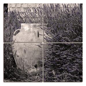 Slika na platnu - Amfora između grmova lavande - kvadrat 369FD (60x60 cm)