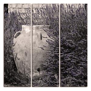Slika na platnu - Amfora između grmova lavande - kvadrat 369FB (75x75 cm)