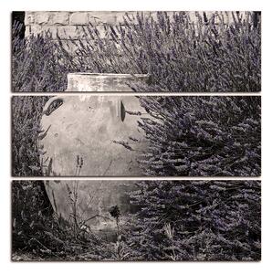 Slika na platnu - Amfora između grmova lavande - kvadrat 369FC (75x75 cm)