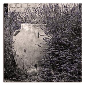 Slika na platnu - Amfora između grmova lavande - kvadrat 369FA (50x50 cm)