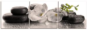 Slika na platnu - Lava kamenje i cvijeće - panorama 563FB (150x50 cm)