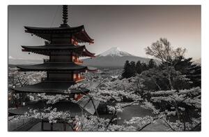 Slika na platnu - Pogled na planinu Fuji 161FA (90x60 cm )
