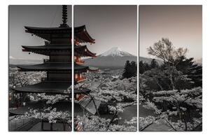 Slika na platnu - Pogled na planinu Fuji 161FB (90x60 cm )