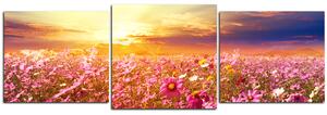 Slika na platnu - Šarena livada na zalasku sunca - panorama 568D (150x50 cm)