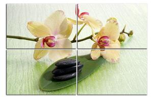 Slika na platnu - Cvjetovi orhideja 162C (120x80 cm)