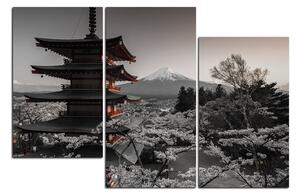 Slika na platnu - Pogled na planinu Fuji 161FC (90x60 cm)