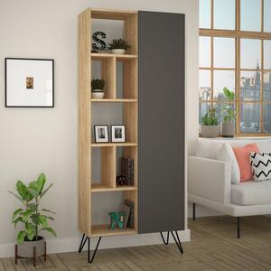 Woody Fashion Polica za knjige, hrast Antracit, Jedda Bookcase - Oak, Anthracite