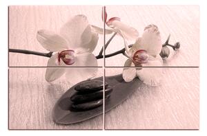 Slika na platnu - Kvety orchidei 162FC (90x60 cm)