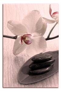 Slika na platnu - Cvjetovi orhideja - pravokutnik 762FA (90x60 cm )