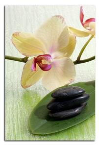Slika na platnu - Cvjetovi orhideja - pravokutnik 762A (120x80 cm)