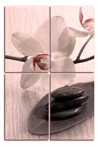 Slika na platnu - Cvjetovi orhideja - pravokutnik 762FD (90x60 cm)