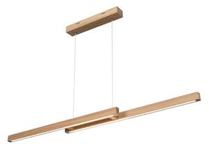 Spot-Light 1519674 - LED prigušivi luster na užetu SMAL 2xLED/22,5W/230V