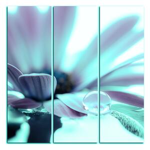 Slika na platnu - Kap rose na laticama cvijeta - kvadrat 380FB (75x75 cm)