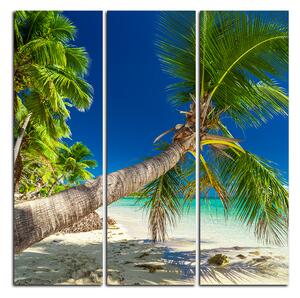 Slika na platnu - Plaža s palmama - kvadrat 384B (75x75 cm)