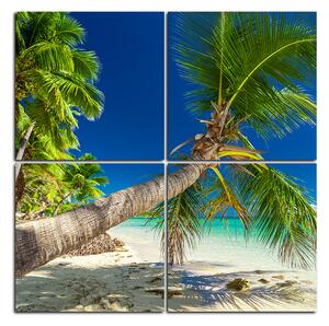 Slika na platnu - Plaža s palmama - kvadrat 384D (60x60 cm)