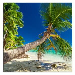 Slika na platnu - Plaža s palmama - kvadrat 384A (50x50 cm)