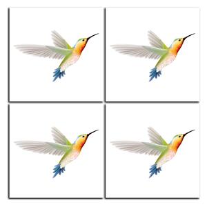 Slika na platnu - Kolibrić na bijeloj pozadini - kvadrat 389B (60x60 cm)
