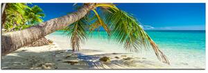Slika na platnu - Plaža s palmama - panorama 584A (105x35 cm)