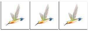 Slika na platnu - Kolibrić na bijeloj pozadini - panorama 589B (150x50 cm)
