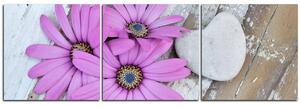 Slika na platnu - Cvijeće i kameno srce - panorama 583B (150x50 cm)