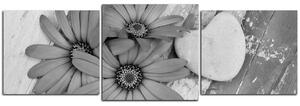 Slika na platnu - Cvijeće i kameno srce - panorama 583QD (90x30 cm)