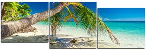 Slika na platnu - Plaža s palmama - panorama 584D (150x50 cm)