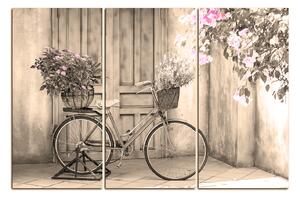 Slika na platnu - Priloženi bicikl s cvijećem 174FB (150x100 cm)