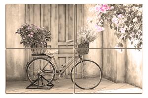 Slika na platnu - Priloženi bicikl s cvijećem 174FC (90x60 cm)