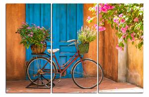 Slika na platnu - Priloženi bicikl s cvijećem 174B (90x60 cm )