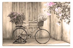 Slika na platnu - Priloženi bicikl s cvijećem 174FA (60x40 cm)