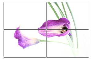 Slika na platnu - Cvijet ljiljana 179D (90x60 cm)