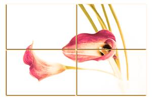 Slika na platnu - Cvijet ljiljana 179FD (90x60 cm)