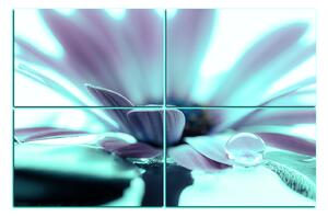 Slika na platnu - Kap rose na laticama cvijeta 180FD (90x60 cm)
