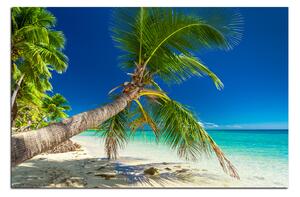 Slika na platnu - Plaža s palmama 184A (90x60 cm )