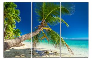 Slika na platnu - Plaža s palmama 184B (90x60 cm )