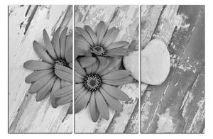 Slika na platnu - Cvijeće i kameno srce 183QB (90x60 cm )