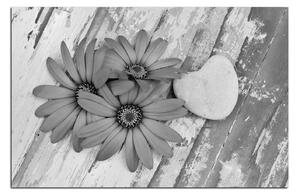 Slika na platnu - Cvijeće i kameno srce 183QA (75x50 cm)